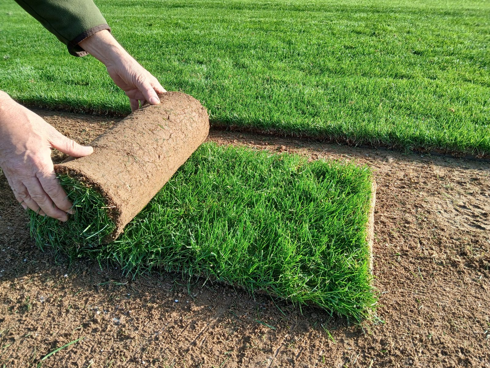 Pose de gazon de placage par l'équipe V'Garden