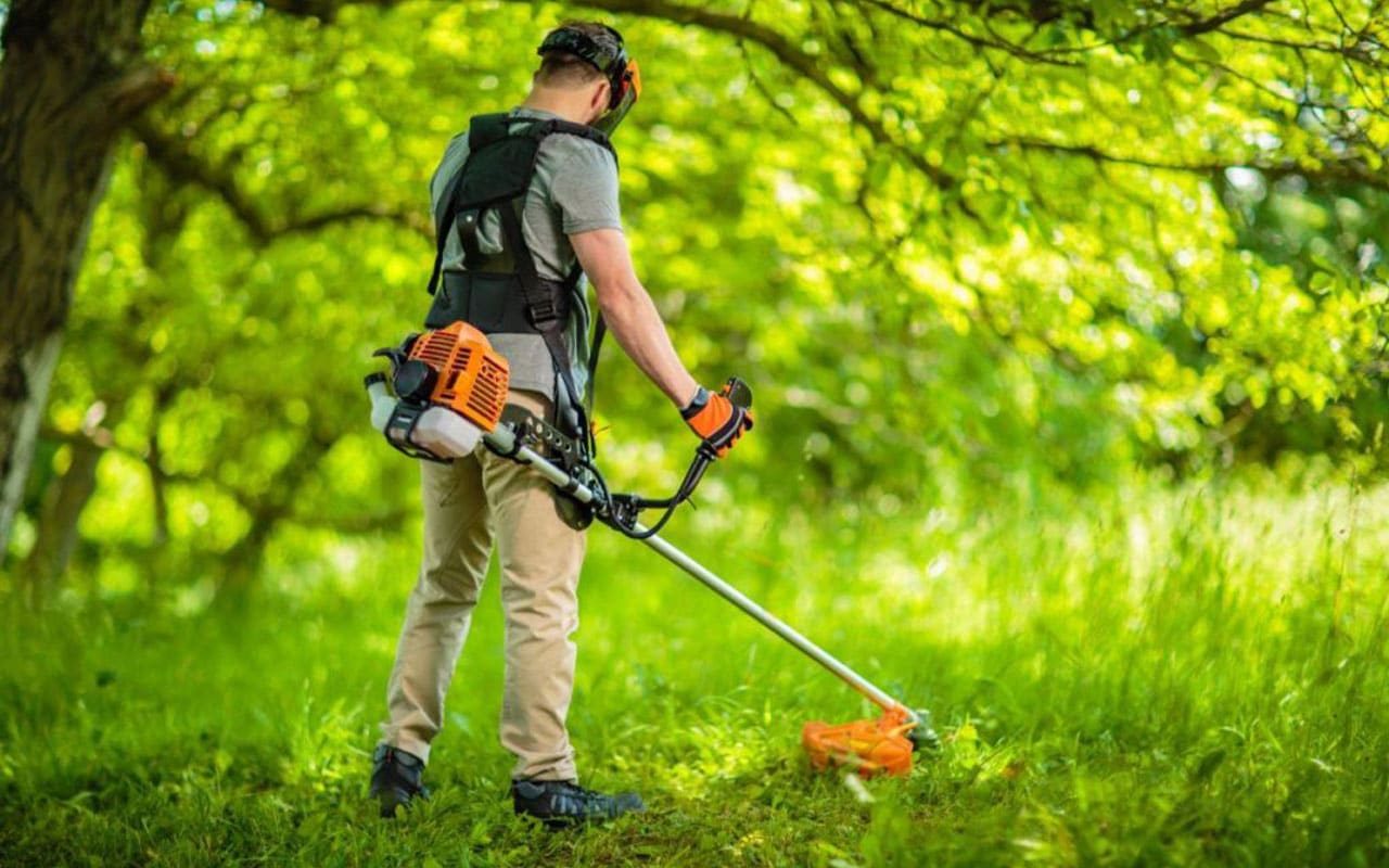 Débroussaillage de terrain par V'Garden en Gironde