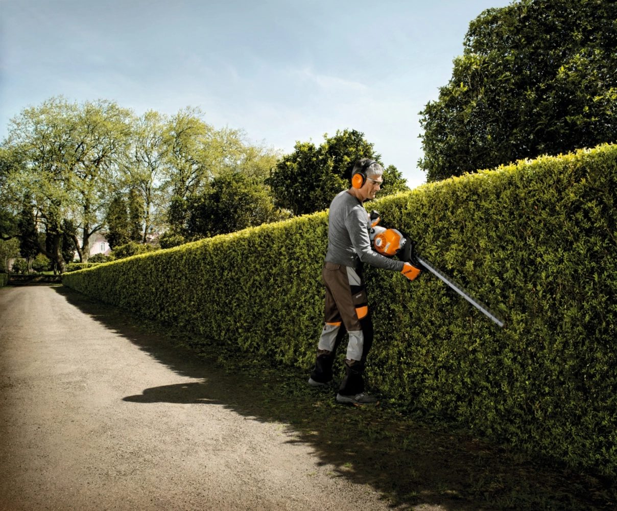 Taille de haie professionnelle par V'Garden à Bordeaux